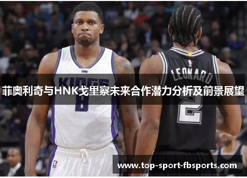 菲奥利奇与HNK戈里察未来合作潜力分析及前景展望