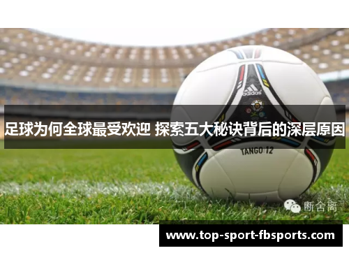 足球为何全球最受欢迎 探索五大秘诀背后的深层原因