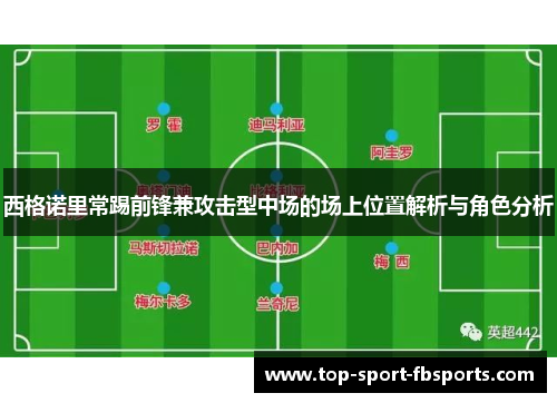 西格诺里常踢前锋兼攻击型中场的场上位置解析与角色分析